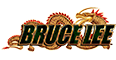 Bruce Lee slot logo