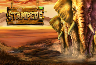 Stampede slot logo